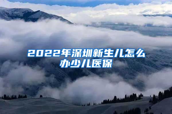 2022年深圳新生儿怎么办少儿医保