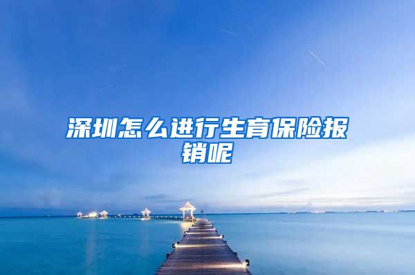 深圳怎么进行生育保险报销呢