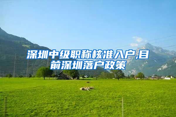 深圳中级职称核准入户,目前深圳落户政策