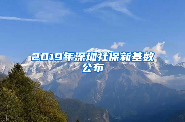 2019年深圳社保新基数公布