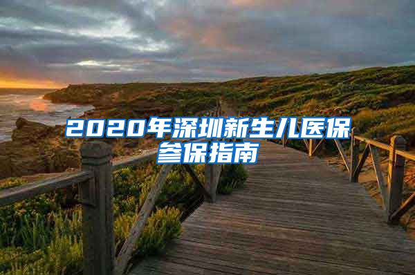 2020年深圳新生儿医保参保指南