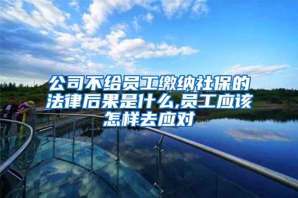 公司不给员工缴纳社保的法律后果是什么,员工应该怎样去应对