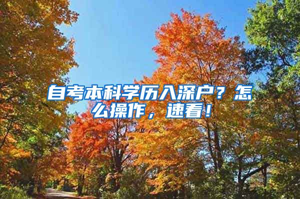 自考本科学历入深户？怎么操作，速看！