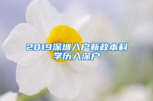 2019深圳入户新政本科学历入深户