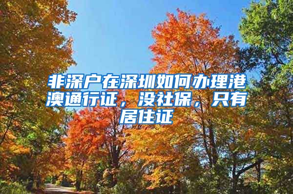 非深户在深圳如何办理港澳通行证，没社保，只有居住证