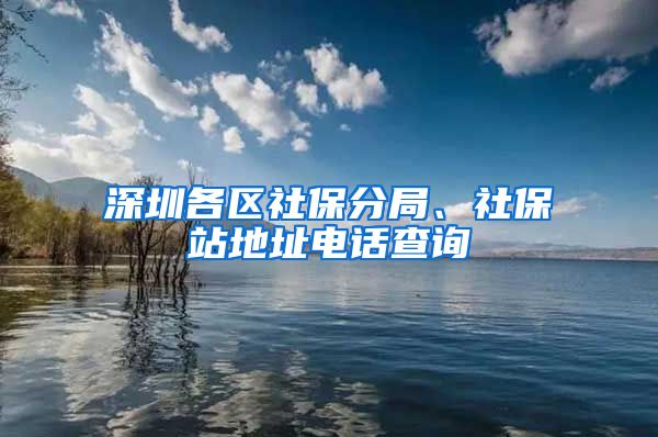 深圳各区社保分局、社保站地址电话查询