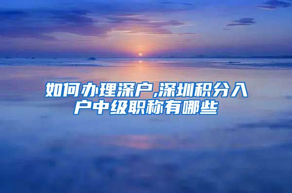 如何办理深户,深圳积分入户中级职称有哪些