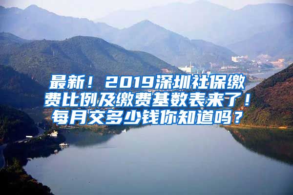 最新！2019深圳社保缴费比例及缴费基数表来了！每月交多少钱你知道吗？