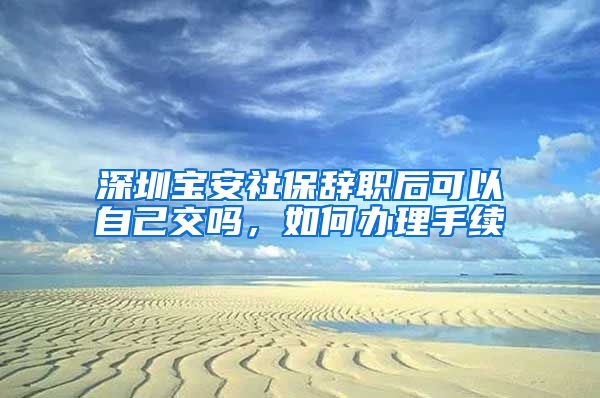 深圳宝安社保辞职后可以自己交吗，如何办理手续