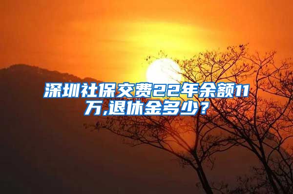 深圳社保交费22年余额11万,退休金多少？