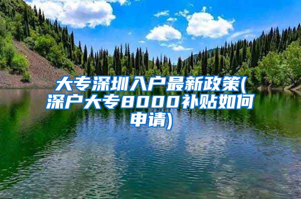 大专深圳入户最新政策(深户大专8000补贴如何申请)