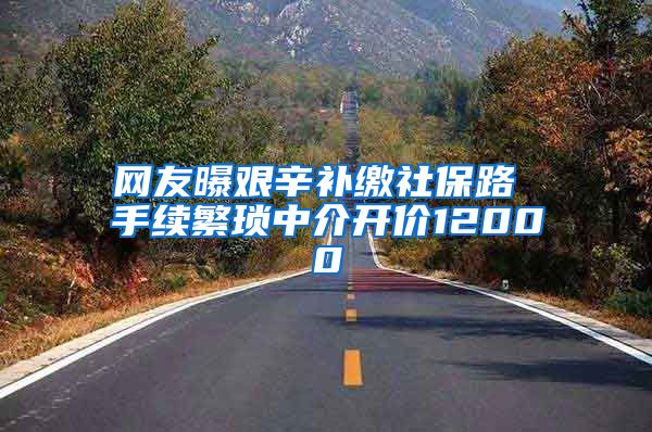 网友曝艰辛补缴社保路 手续繁琐中介开价12000