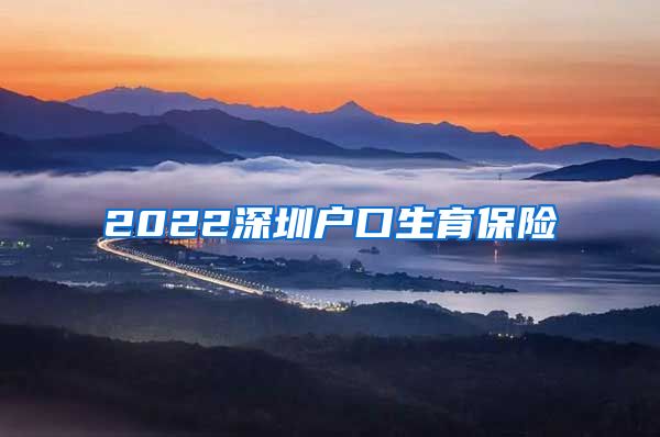 2022深圳户口生育保险