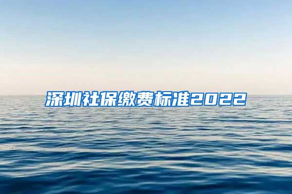 深圳社保缴费标准2022