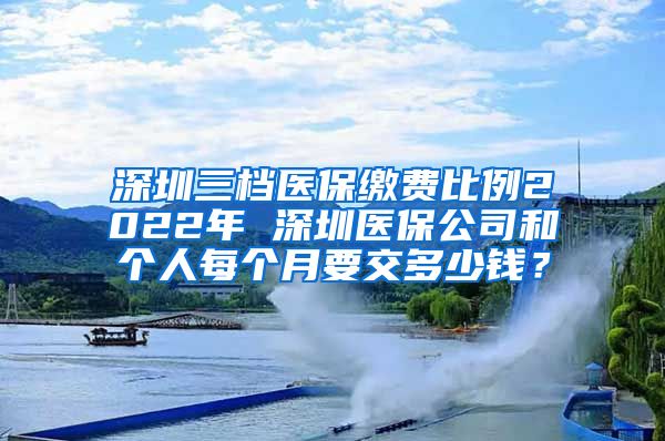 深圳三档医保缴费比例2022年 深圳医保公司和个人每个月要交多少钱？