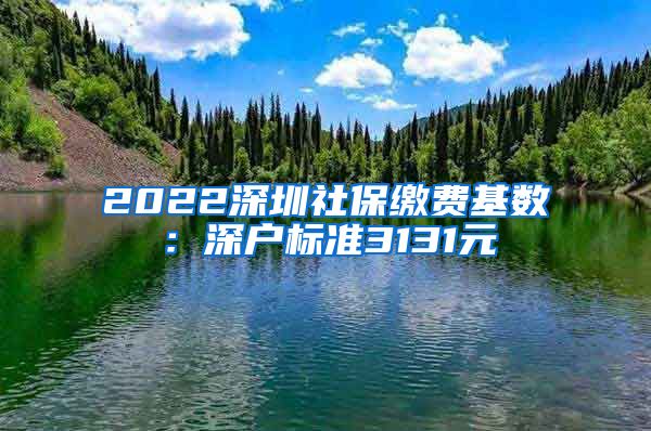 2022深圳社保缴费基数：深户标准3131元