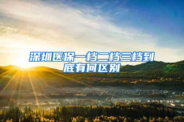 深圳医保一档二档三档到底有何区别