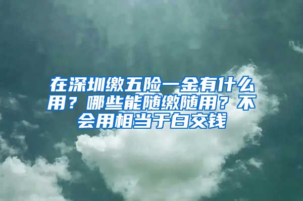 在深圳缴五险一金有什么用？哪些能随缴随用？不会用相当于白交钱