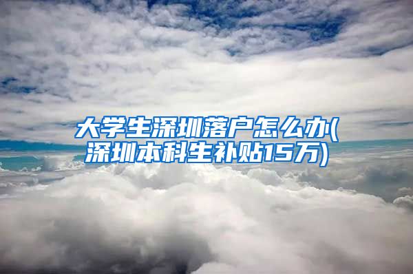 大学生深圳落户怎么办(深圳本科生补贴15万)