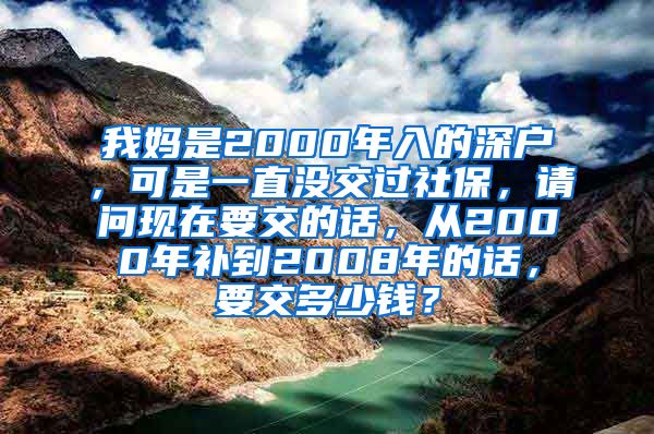 我妈是2000年入的深户，可是一直没交过社保，请问现在要交的话，从2000年补到2008年的话，要交多少钱？