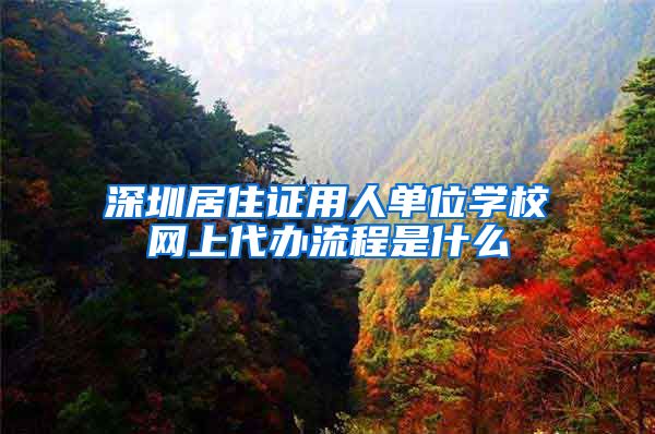 深圳居住证用人单位学校网上代办流程是什么