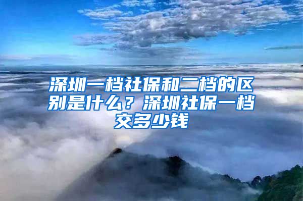 深圳一档社保和二档的区别是什么？深圳社保一档交多少钱