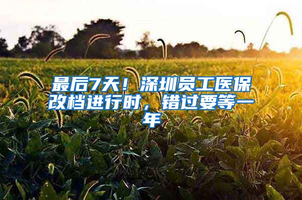 最后7天！深圳员工医保改档进行时，错过要等一年