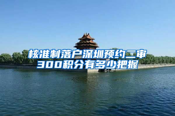 核准制落户深圳预约二审300积分有多少把握