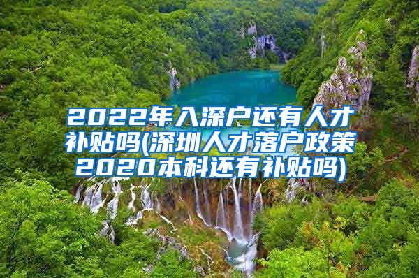 2022年入深户还有人才补贴吗(深圳人才落户政策2020本科还有补贴吗)