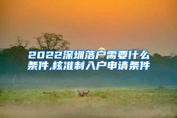 2022深圳落户需要什么条件,核准制入户申请条件