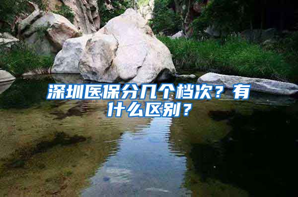 深圳医保分几个档次？有什么区别？