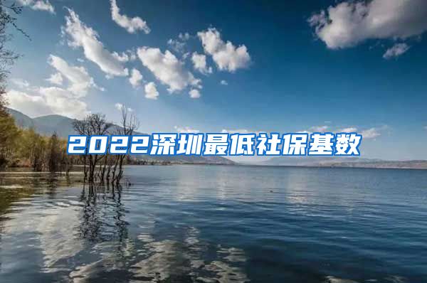 2022深圳最低社保基数