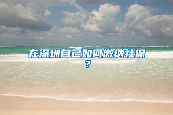 在深圳自己如何缴纳社保？