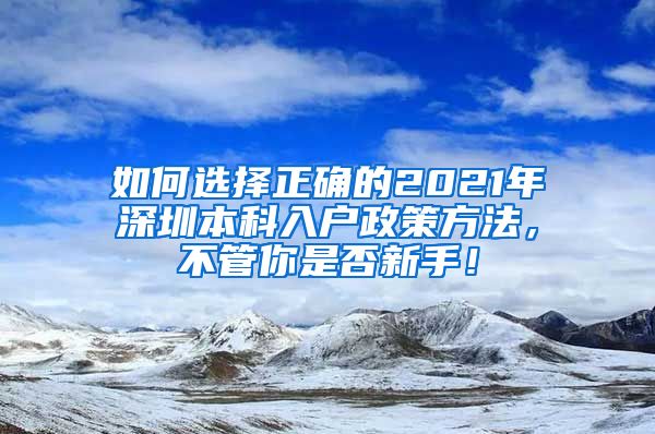 如何选择正确的2021年深圳本科入户政策方法，不管你是否新手！