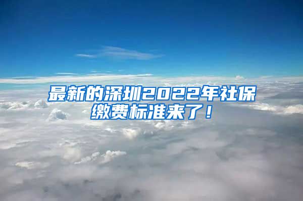 最新的深圳2022年社保缴费标准来了！