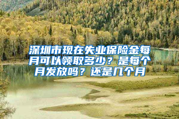 深圳市现在失业保险金每月可以领取多少？是每个月发放吗？还是几个月