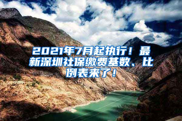 2021年7月起执行！最新深圳社保缴费基数、比例表来了！