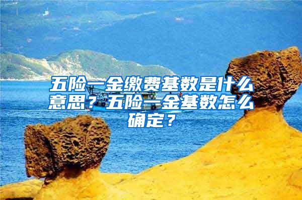 五险一金缴费基数是什么意思？五险一金基数怎么确定？