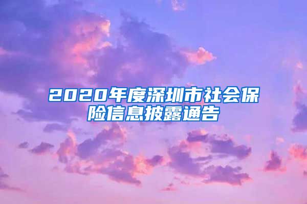 2020年度深圳市社会保险信息披露通告