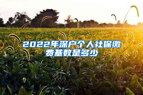 2022年深户个人社保缴费基数是多少