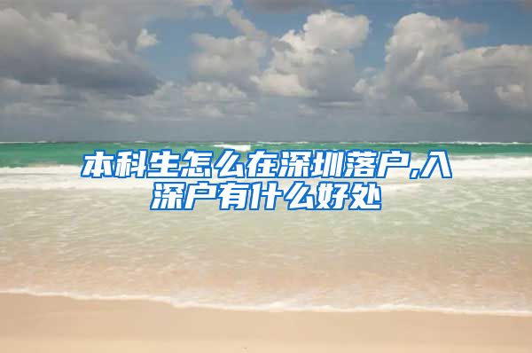 本科生怎么在深圳落户,入深户有什么好处