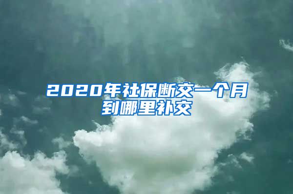 2020年社保断交一个月到哪里补交