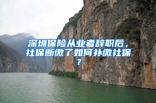 深圳保险从业者辞职后，社保断缴了如何补缴社保？