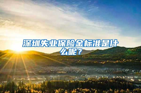 深圳失业保险金标准是什么呢？