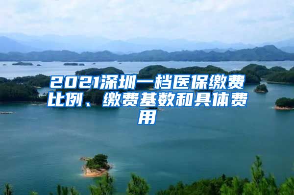 2021深圳一档医保缴费比例、缴费基数和具体费用