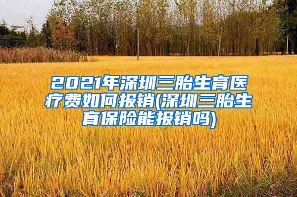 2021年深圳三胎生育医疗费如何报销(深圳三胎生育保险能报销吗)