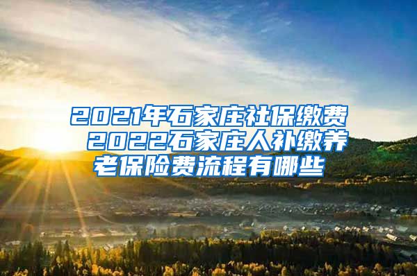 2021年石家庄社保缴费 2022石家庄人补缴养老保险费流程有哪些