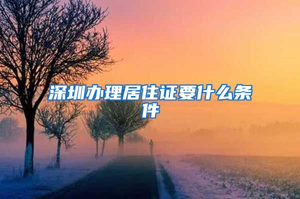 深圳办理居住证要什么条件