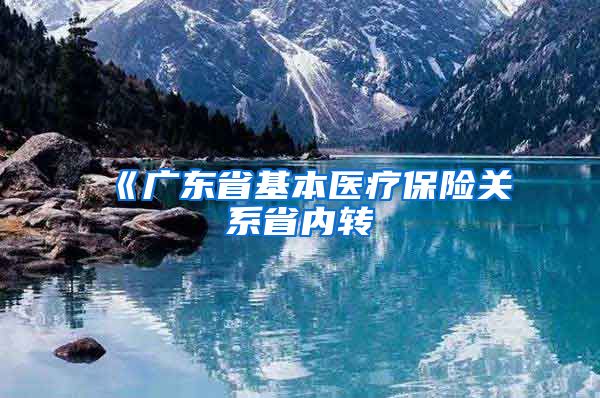 《广东省基本医疗保险关系省内转