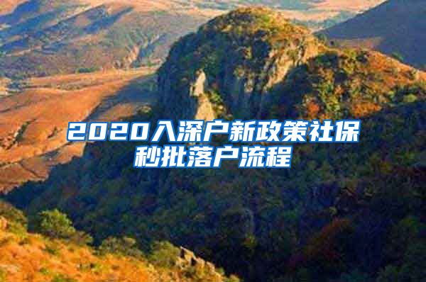 2020入深户新政策社保秒批落户流程